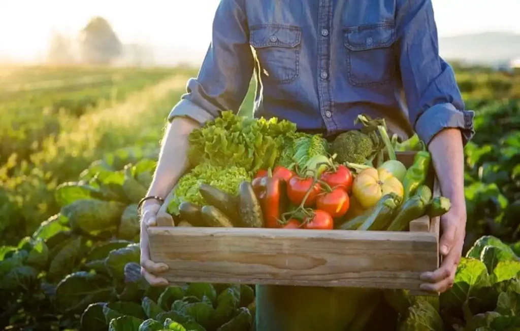 GT___sau_SRL_pentru_afacere_agricola__
